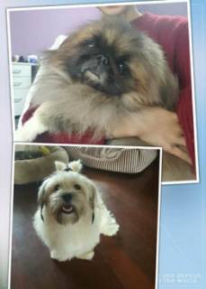 没想到你是这样图片,没想到你是这样的国语版