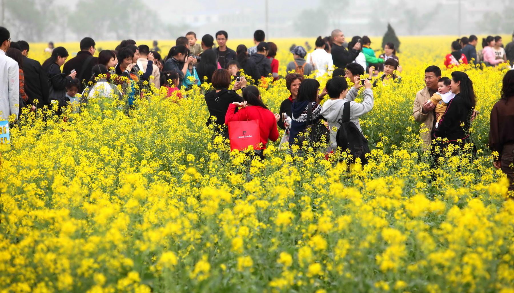 鏃呮父琛屼笟鐮翠骇,鏃呮父琛屼笟鍊掗棴