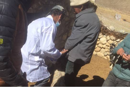 乡镇最新改革消息,乡镇群