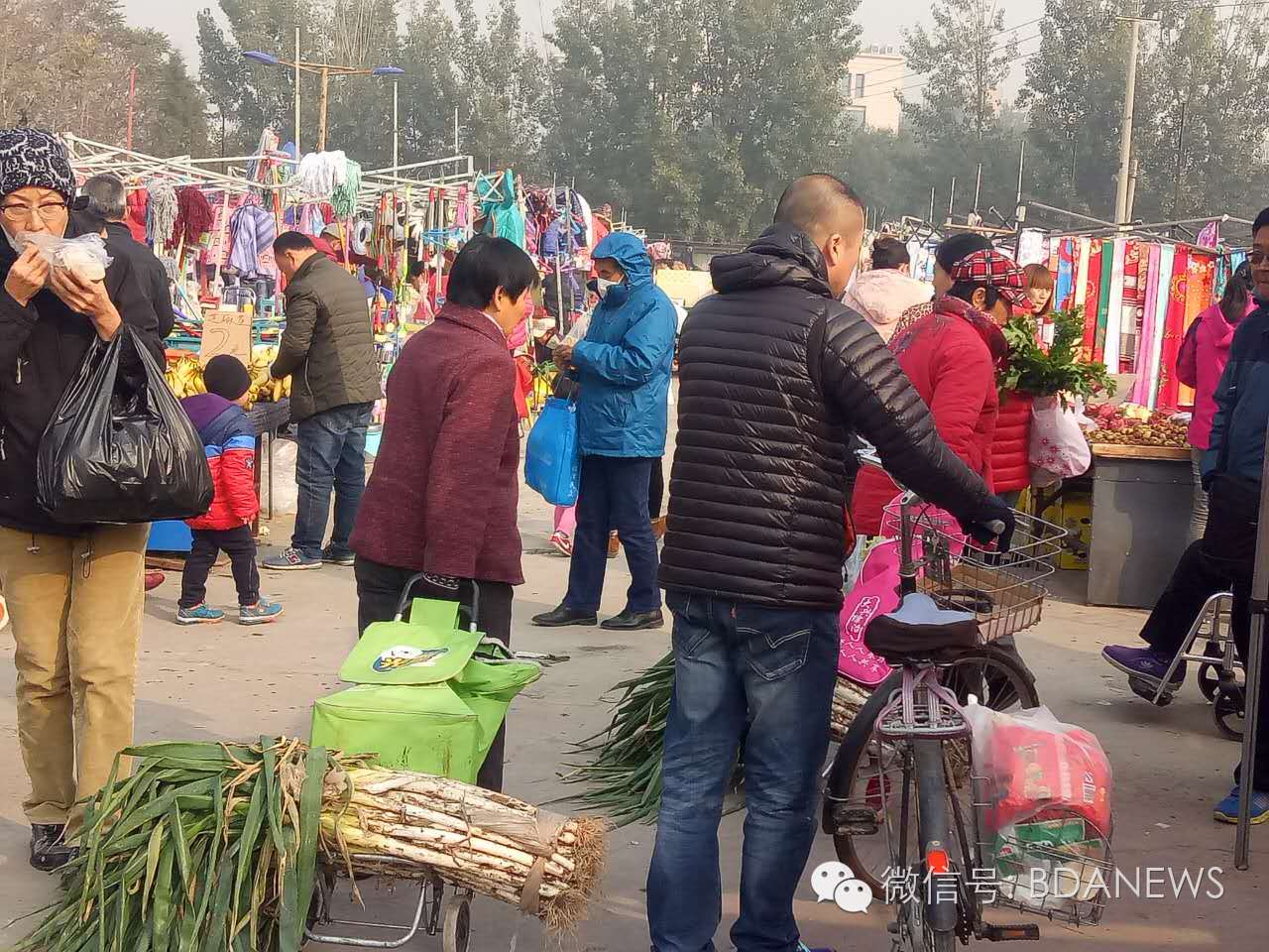 市场冬储菜,冬储菜热销