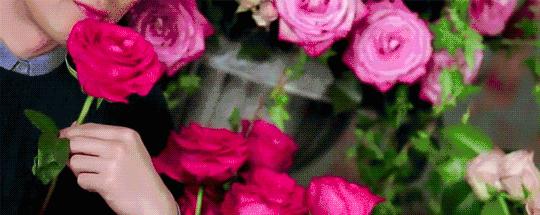 迪拜旅游5天详细攻略,迪拜旅游攻略自由行攻略