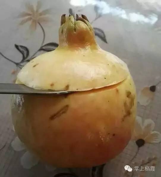 手把手教你剥石榴,教你剥石榴的小技巧