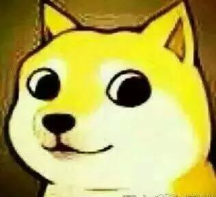 狗如果有狂犬病打疫苗有效吗,狗打针能预防狂犬病吗