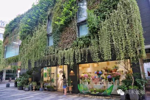 厉害了!魔都这条路上的面包比Farine好吃，梧桐比武康路还美