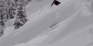 羊驼带你看懂双板Slopestyle(下)