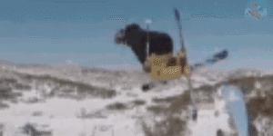 羊驼带你看懂双板Slopestyle(下)