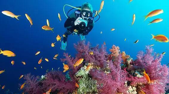 合肥工资水平2016 (合肥总体工资)