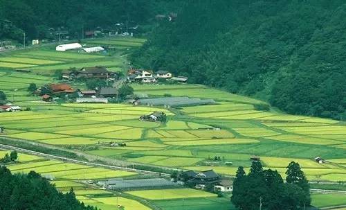 饭盒食品级日本,昭和三年饭盒