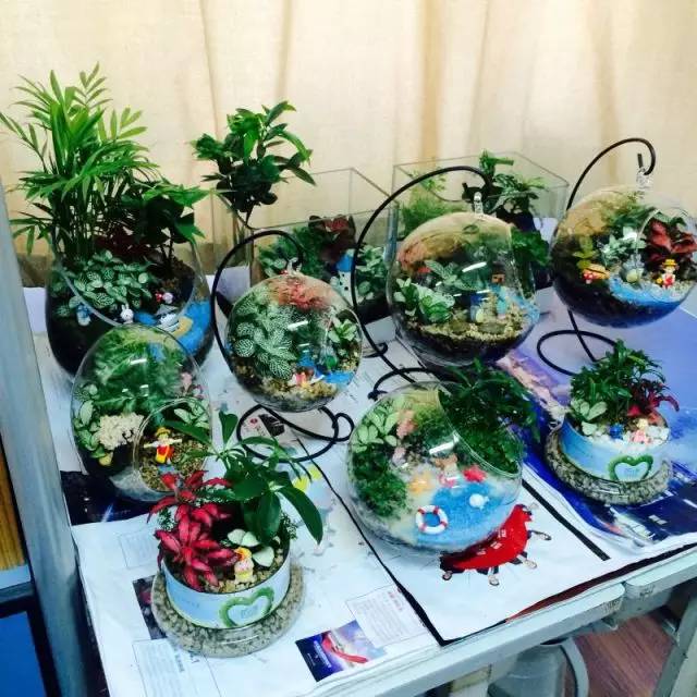 魅力新校园,魅力校园六合龙池初级中学