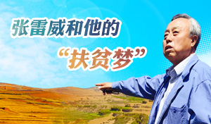 建安区召开安全生产工作会议,白城会议布置