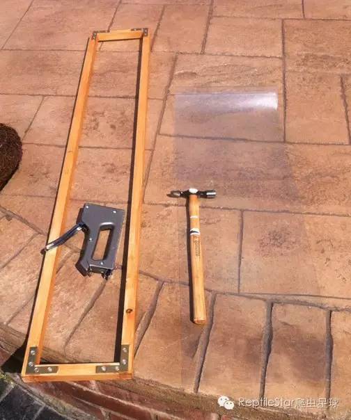 ReptileStar爬虫星球