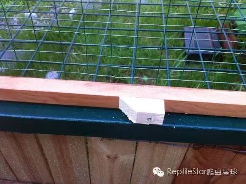 ReptileStar爬虫星球