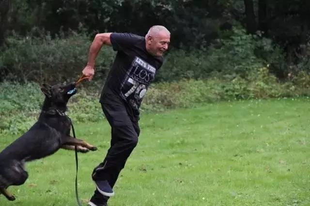 姿势|海关首次境外选犬，为何挑的是它？