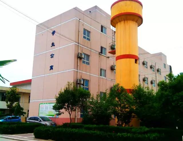 国际港务区有什么好的公办初中吗,国际港务区哪个小学最好