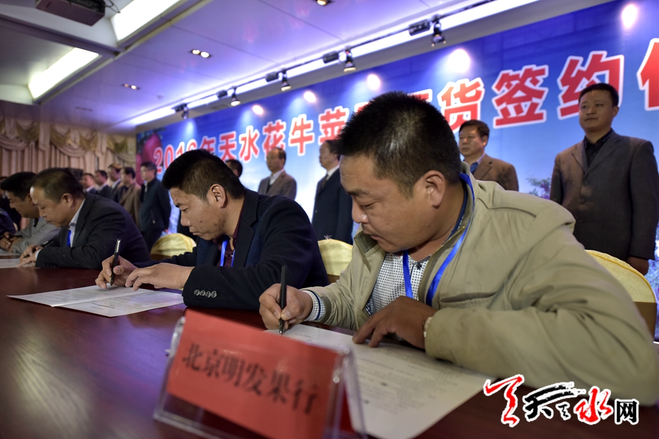 天水花牛苹果顺丰专场,天水花牛苹果发货现场