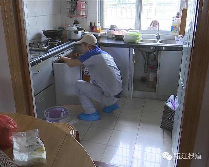 十大最有效的灭蟑方法不用蟑螂药,如何免费的灭蟑螂