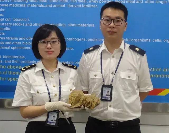 沙漠玫瑰石|放你走还是让你留