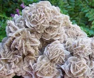 沙漠玫瑰石|放你走还是让你留