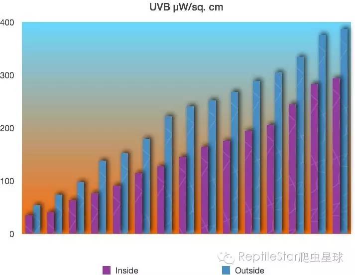 ReptileStar爬虫星球