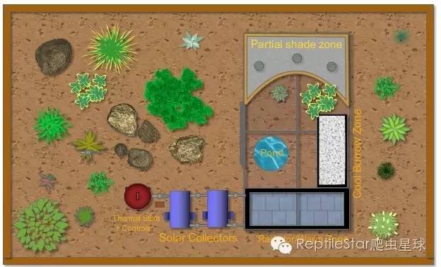 ReptileStar爬虫星球