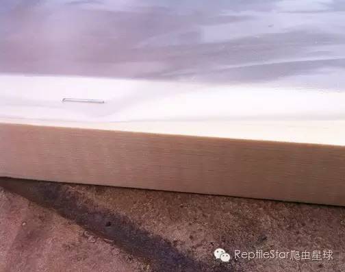 ReptileStar爬虫星球