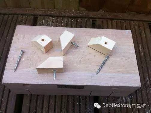 ReptileStar爬虫星球