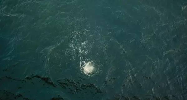 聊一聊曾经赚取你眼泪的电影(二)