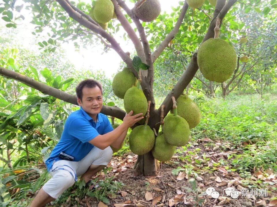 聚焦│厉害了我的灵山，因为这件事竟然吸引那么多人来！
