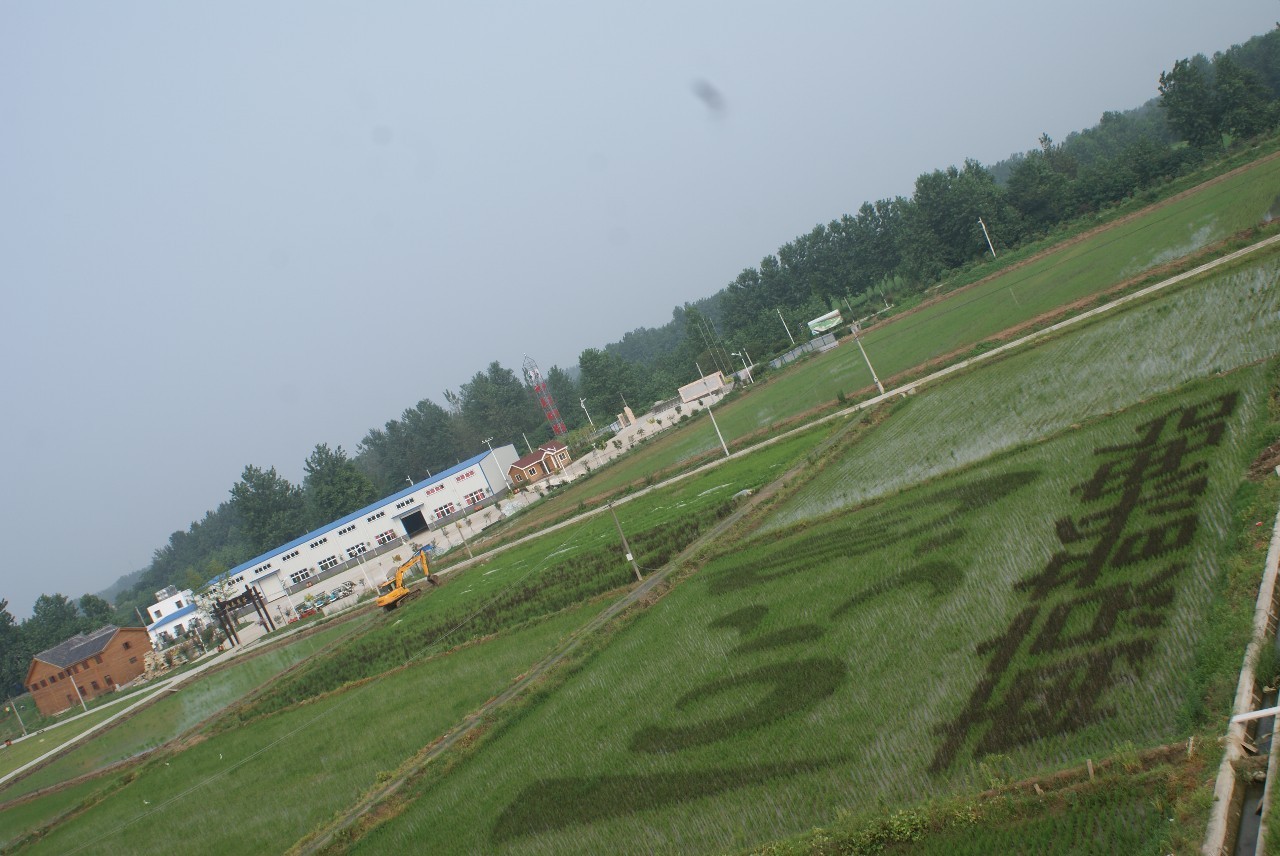 安徽滁州10大最美乡村,滁州第二批美丽乡村名单