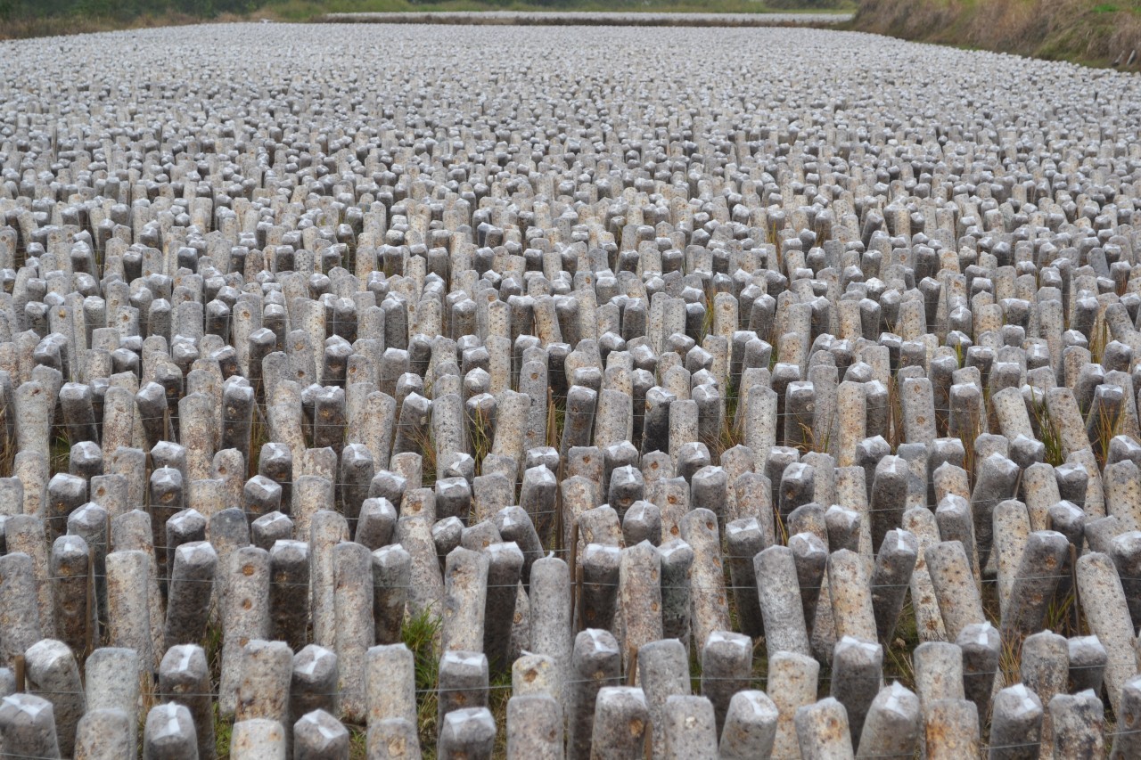 安徽滁州10大最美乡村,滁州第二批美丽乡村名单