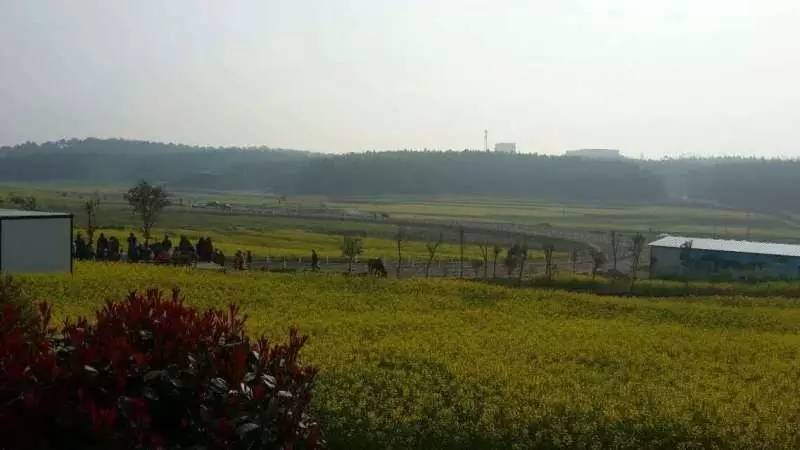 安徽滁州10大最美乡村,滁州第二批美丽乡村名单