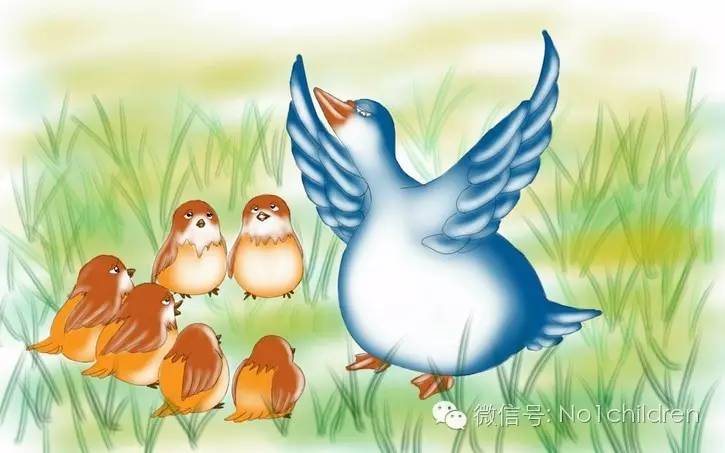 睡前故事夏蝉和大雁,儿童睡前故事大雁搬家