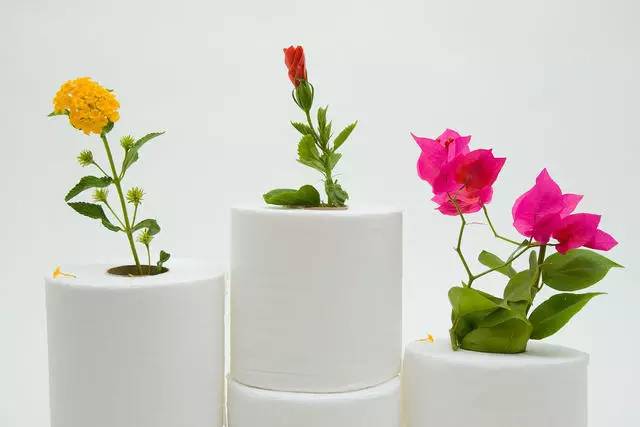 坐在马桶上思考吃什么,坐在马桶上思考的人