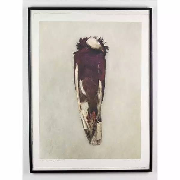 变异生物迷你世界,变异生物有哪些