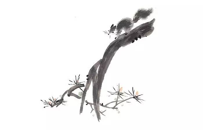 写在竹简上的诗经,诗经中的绝美句子纸质书