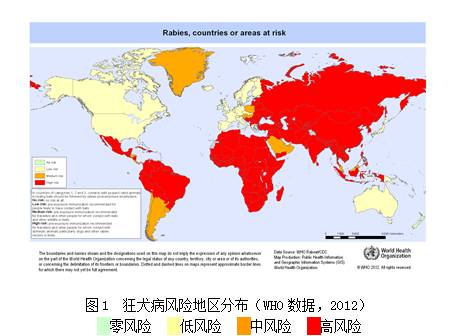 狗如果有狂犬病打疫苗有效吗,狗打针能预防狂犬病吗