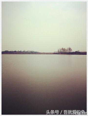 大将师来干家塘有鲤有鲫好鱼情