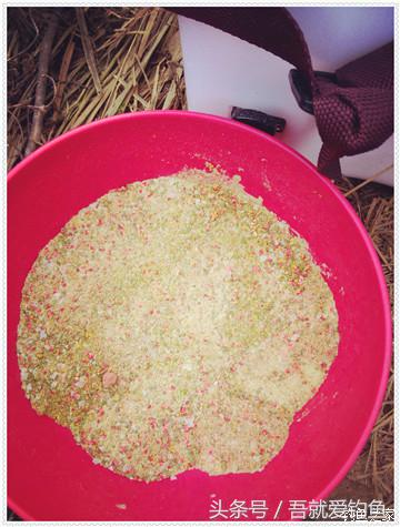 大将师来干家塘有鲤有鲫好鱼情