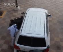 母象带小象过河搞笑,大象带小象搞笑