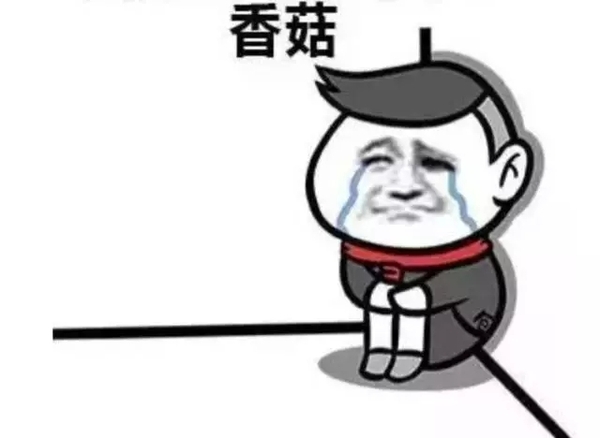 ysl星辰限量值不值得买,ysl对于女生来说意味着什么