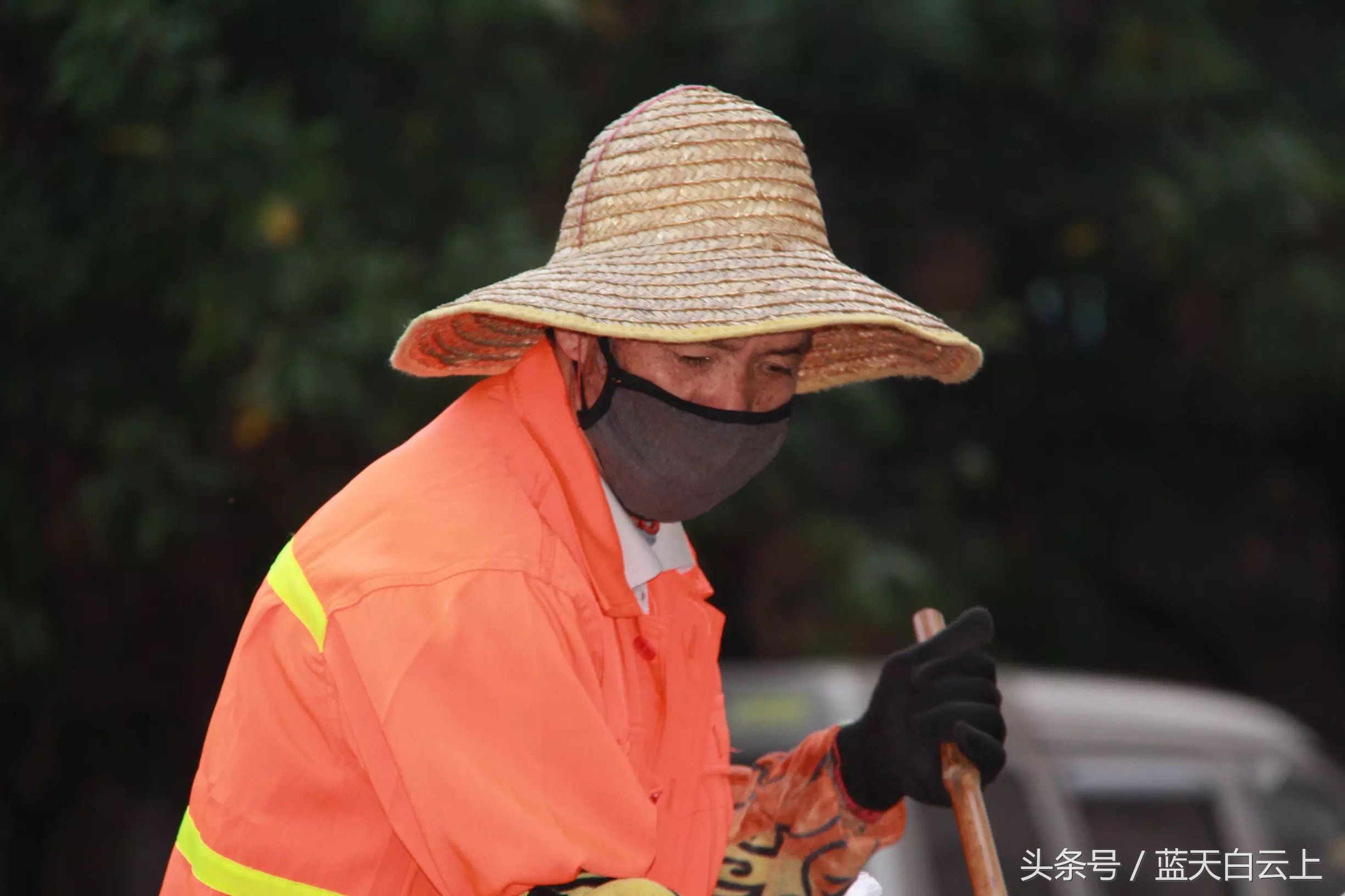 冬日里的黄玫瑰环卫工人,城市黄玫瑰环卫工人