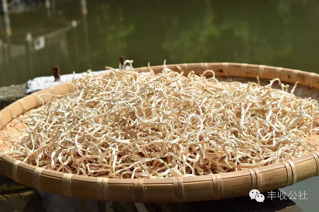 丰收故事我来讲简短,我的丰收故事