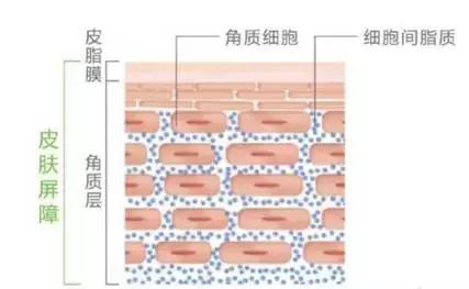 我要护肤实力派,“膜”力谁来做主?