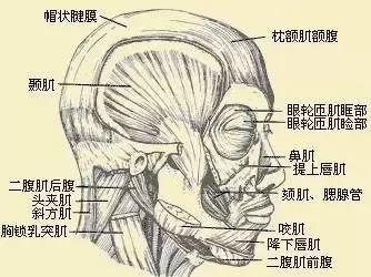 头痛太阳针灸一针见效,针灸对眩晕症有效果吗