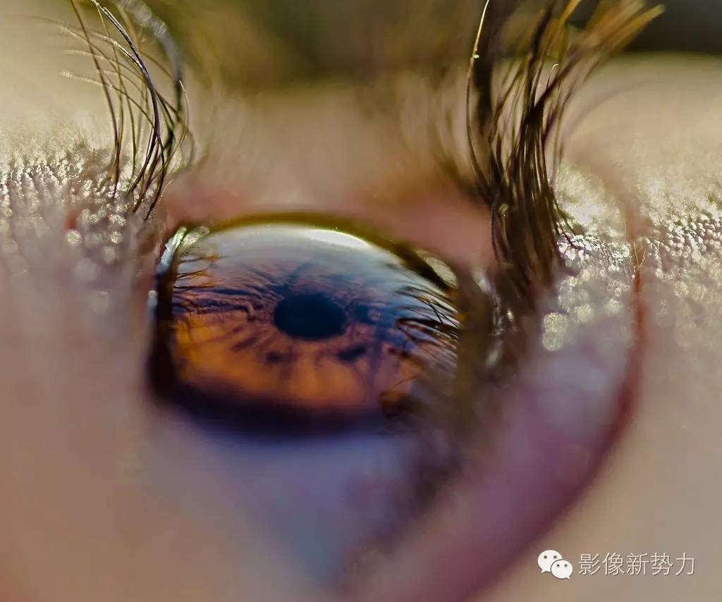 最值得买的腾龙镜头,腾龙有哪几款很好的老镜头