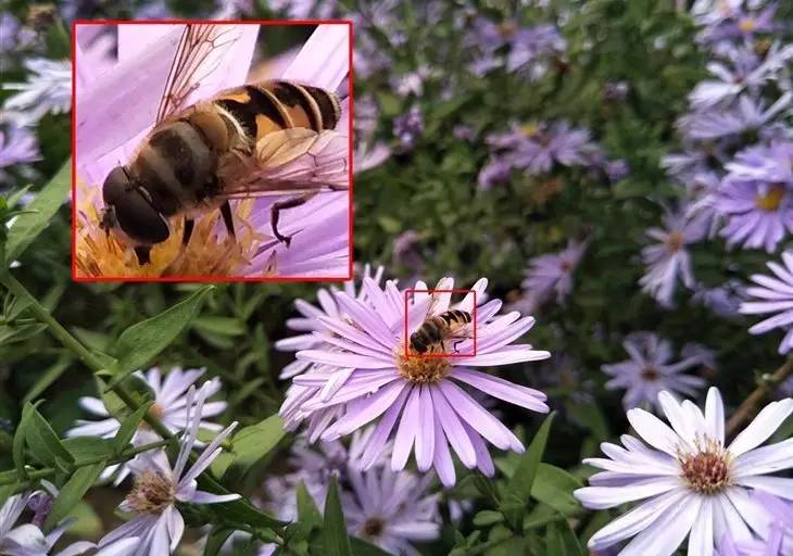 oppor9s值得买吗,oppor9s好用吗