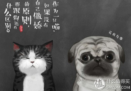 仿佛来自喵星球的你：Tapole站线上选配近*眼镜视**体验记