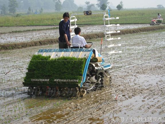 农村的十种最赚钱的小生意,农村致富的10个门路