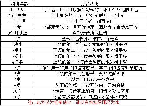 人和狗狗的年龄怎么算?