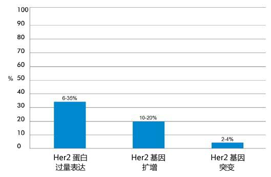 her2靶向药物,her2基因突变会引发各种癌症吗